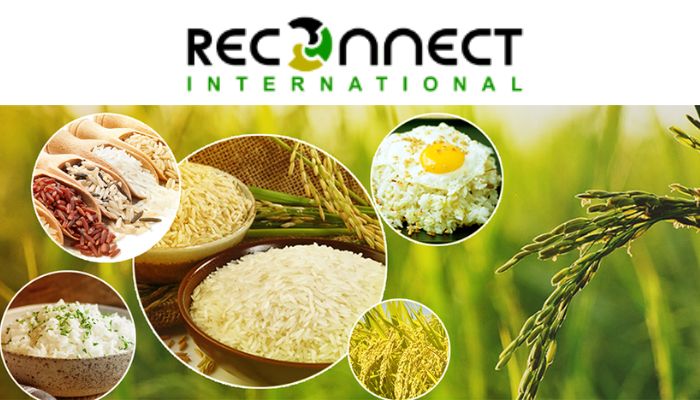 Công ty Reconnect International - đơn vị cung cấp gạo uy tín