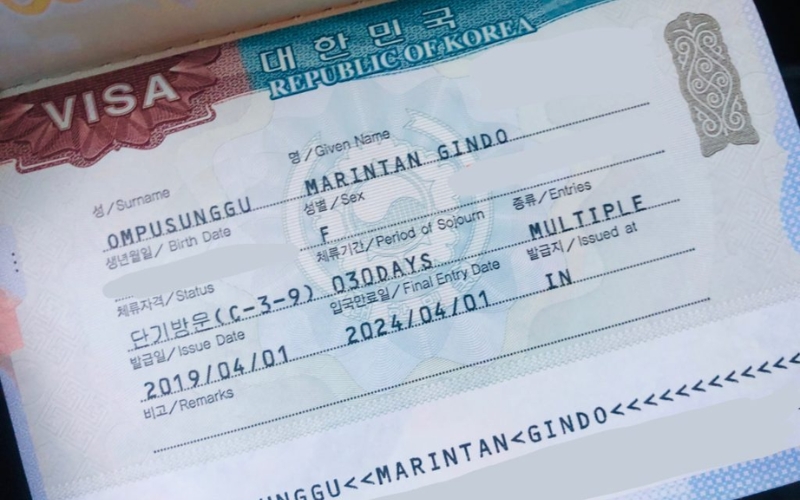 Visa du học Hàn D2-6