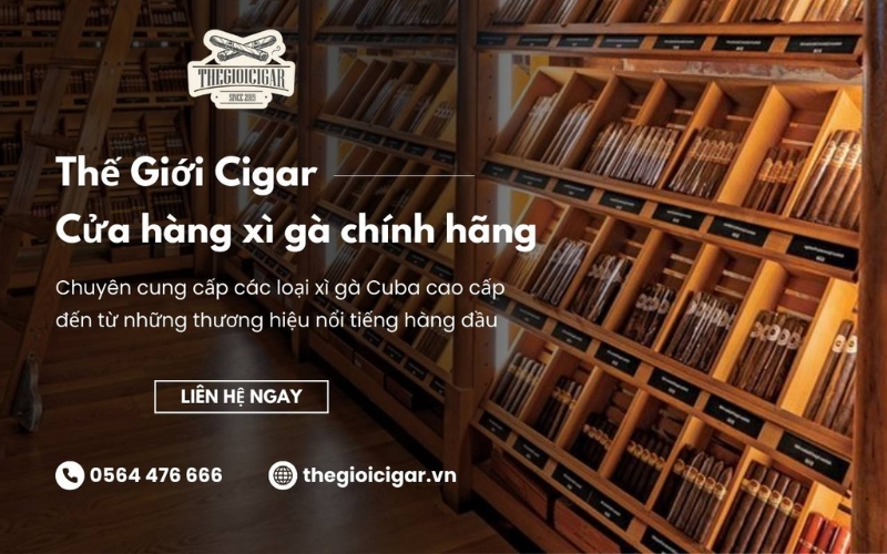địa chỉ cung cấp xì gà chính hãng thegioicigar