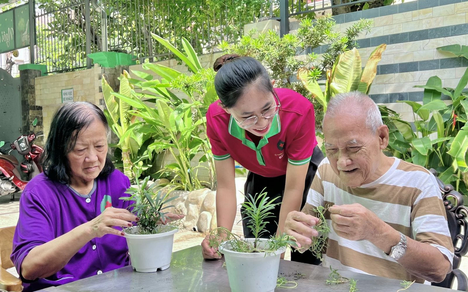 Viện dưỡng lão Bình Mỹ